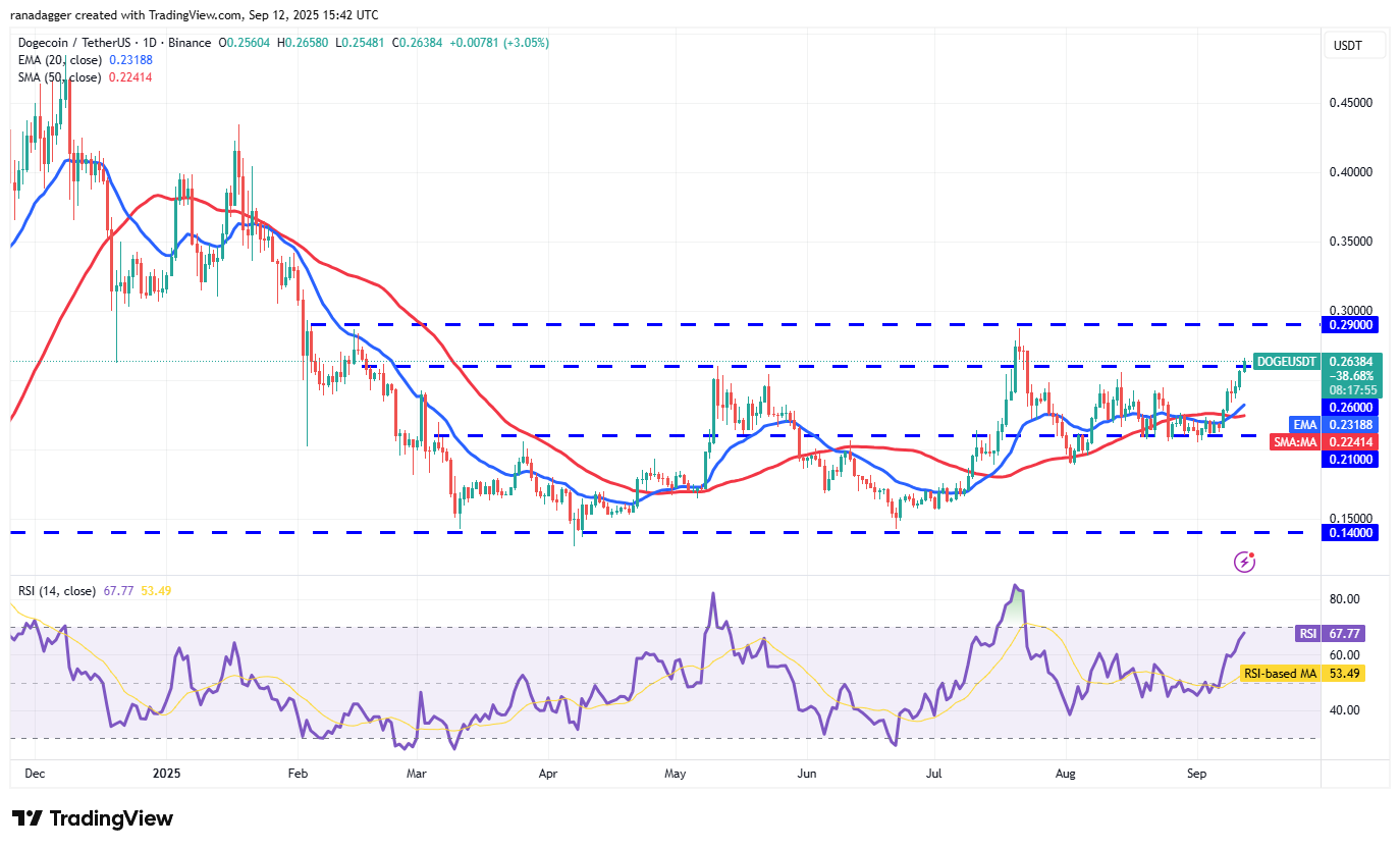 Dogecoin, Cryptocurrencies, Bitcoin Price, XRP, Markets, Cryptocurrency Exchange, Cardano, Price Analysis, Binance Coin, Chainlink, Market Analysis, Ether Price, Solana, Bitcoin ETF, ETF, SUI