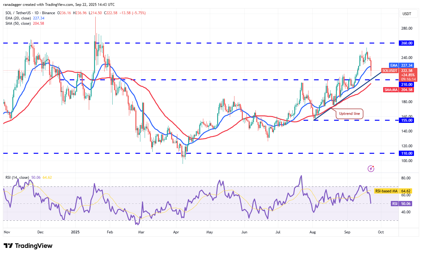 Dogecoin, Cryptocurrencies, Federal Reserve, Dollar, Bitcoin Price, XRP, Markets, United States, Cryptocurrency Exchange, Interest Rate, Cardano, Price Analysis, Binance Coin, Market Analysis, Ether Price, Solana, S&P 500