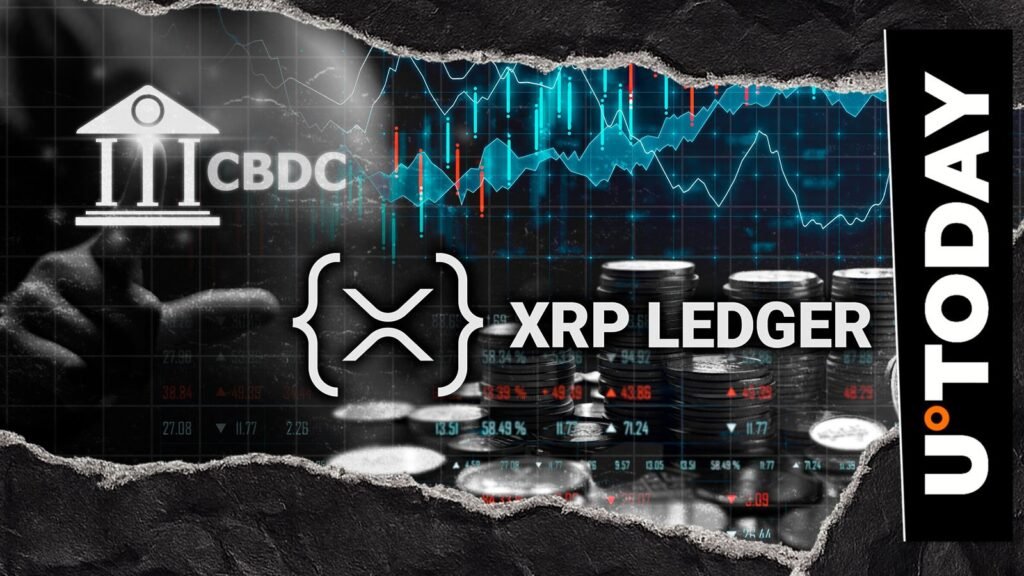 Former Ripple Exec Breaks Silence on CBDC Experiment Impact on XRP Ledger