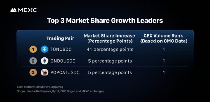 Top 3 market share growth leaders