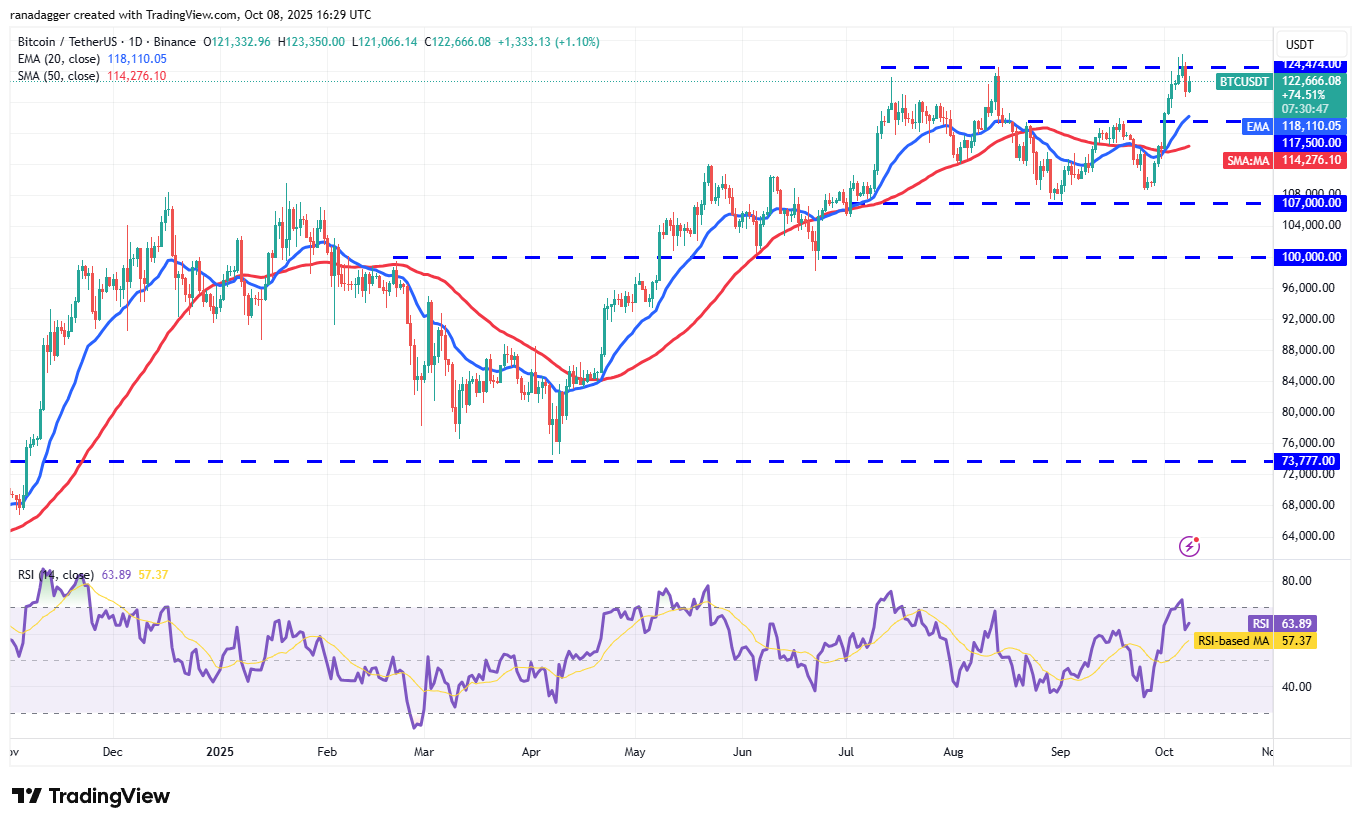 Dogecoin, Cryptocurrencies, Bitcoin Price, XRP, Markets, Cryptocurrency Exchange, Cardano, Price Analysis, Binance Coin, Chainlink, Market Analysis, Ether Price, Solana, SUI