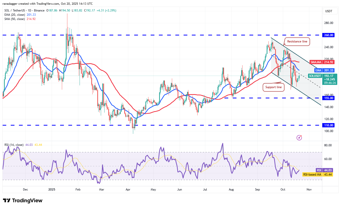 Coinbase, Dogecoin, Cryptocurrencies, Dollar, China, Bitcoin Price, XRP, Markets, United States, Cryptocurrency Exchange, Donald Trump, Cardano, Price Analysis, Market Analysis, Ether Price, Solana, S&P 500, John Bollinger, BNB, Institutions