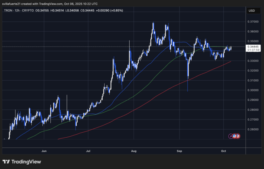 TRX consolidates in a bullish uptrend | Source: TRXUSDT chart on TradingView
